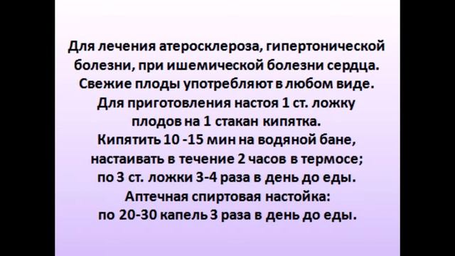 Вкусная жизнь с Викторией