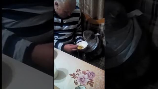 Не хухры мухры!!!!! смотреть онлайн