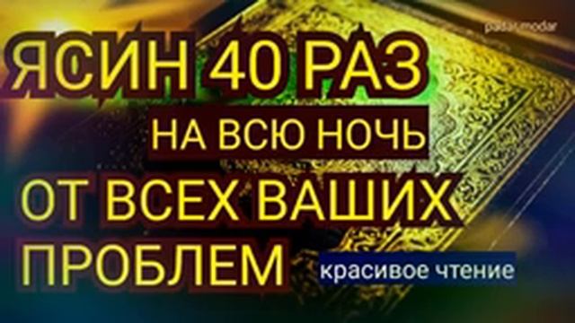 СУРА ЯСИН 40 РАЗ ?? смотреть онлайн