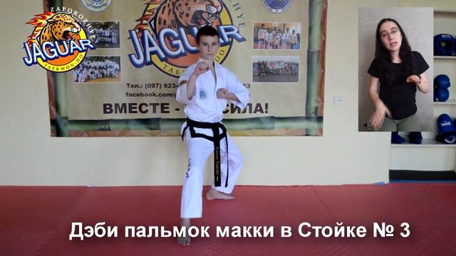 Урок № 3. Аттестация на 7 гып (Жёлтый пояс с зелёной пометкой) смотреть онлайн