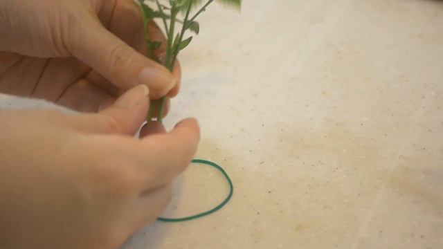 【生け花】野の花で草月流【三大流派生けてみた】基本傾真型 смотреть онлайн