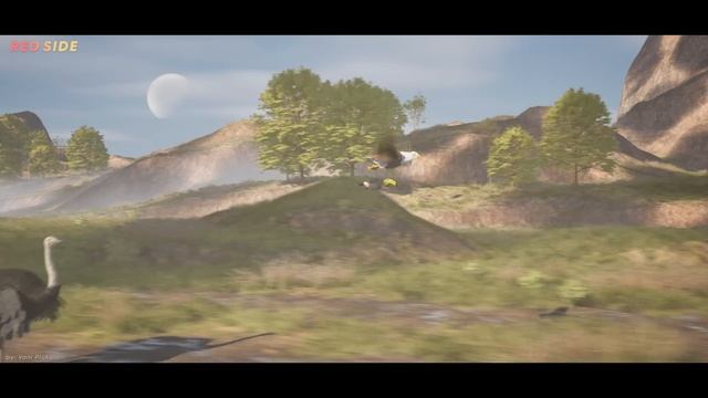 SPEED COMPARISON 3D | Birds