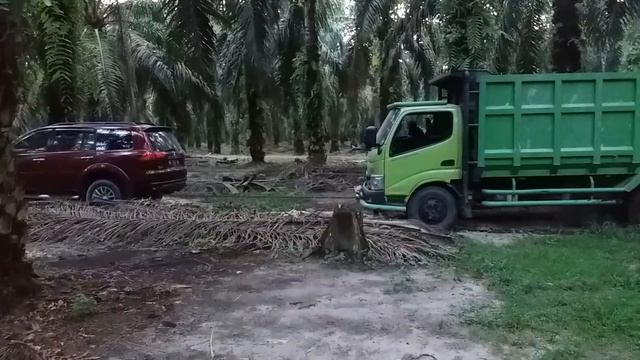 Pajero tarik truk.. смотреть онлайн