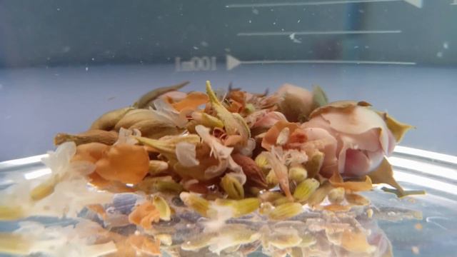 FoodChannel.info | Rosebud, Lavender & Butterfly Pea Flower Water | Roasted Walnuts | Subscribe [CC смотреть онлайн