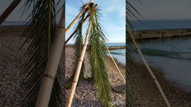 Абхазия, Новый Афон, 25 октября ,2022г.