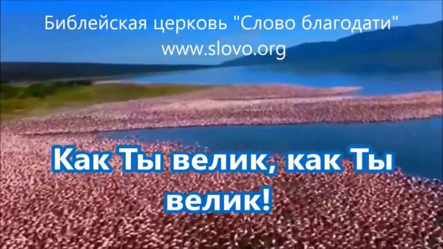 Приветствие - Разбор слова смотреть онлайн