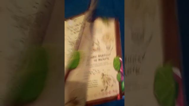 Бонстики 3D в книжках смотреть онлайн