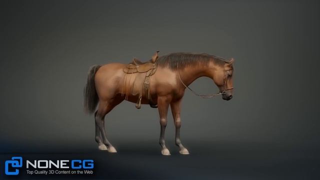 Animated Horse 3D Model By NoneCG