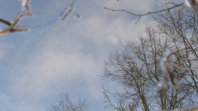 🌓 Луна в пруду смотреть онлайн
