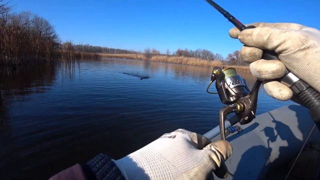 Lucky Craft принес два трофея. Рекорд 2021года. Твичинг воблеров. Рыбалка в Саратове. смотреть онлайн