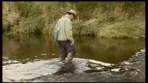 Полезные советы рыбакам