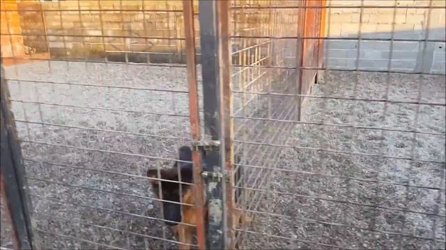 Elmo&Etta progeny смотреть онлайн