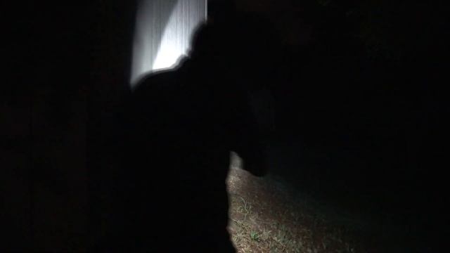 Why the Olight Warrior Mini 2 is Now My EDC Light смотреть онлайн