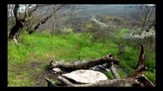 Поем цветем и пахнем. Гора Острая 2018г смотреть онлайн