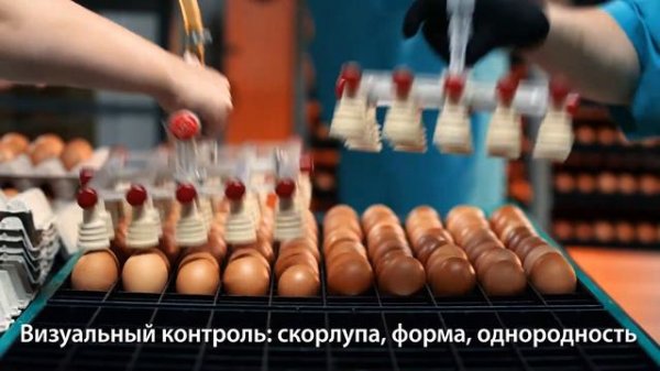 LOHMANN в России 01 Lohmann v 5