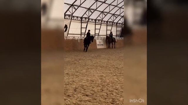 Конный спорт | тренировка | лошади смотреть онлайн