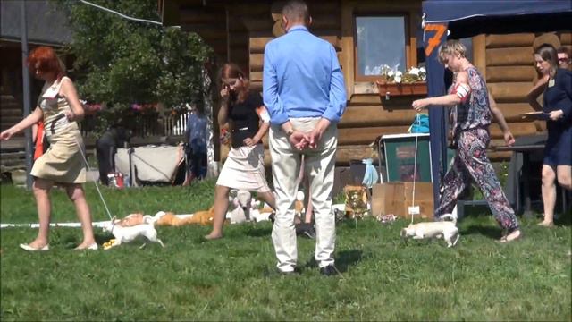 МОНОПОРОНАЯ ВЫСТАВКА 13 07 2014 смотреть онлайн