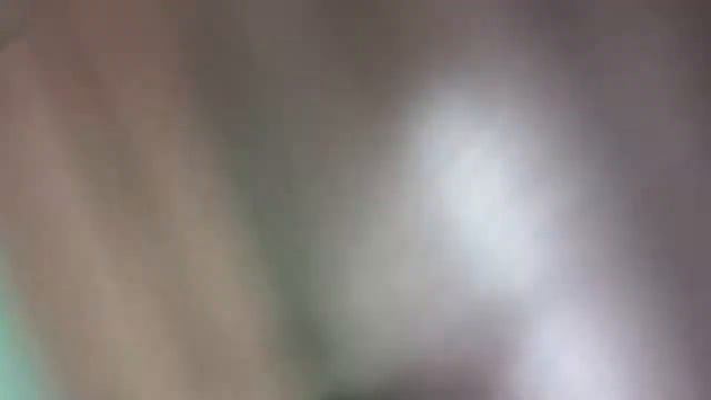 Орхидея зигопеталум смотреть онлайн