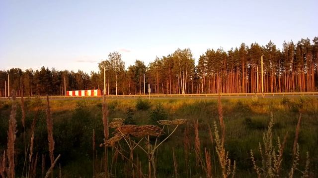 Автотрасса. Вечер. Август 2023 смотреть онлайн