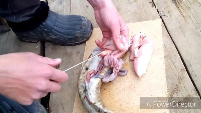 Чем питается налим HD смотреть онлайн