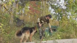 Ночевка на берегу реки. 24 часа на рыбалке.