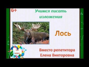 18. Как научиться писать изложение? Изложение «Лось»