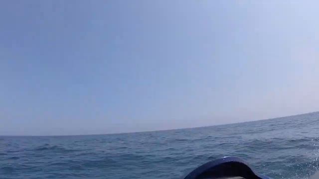 Дал движняка слегка...)))