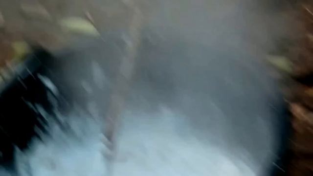 СЕКРЕТ СУПЕР СТОЙКОЙ И БЕЛОСНЕЖНОЙ ПОБЕЛКИ ДЕРЕВЬЕВ!!! ПРАВИЛЬНАЯ ПОБЕЛКА ДЕРЕВЬЕВ ОСЕНЬЮ ИЗВЕСТЬЮ смотреть онлайн