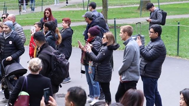 Asking Dumb Questions in a Harvard Lecture смотреть онлайн