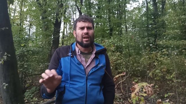 Как выбрать место под пасеку в лесу. Выбор места под пасеку и организация точек смотреть онлайн