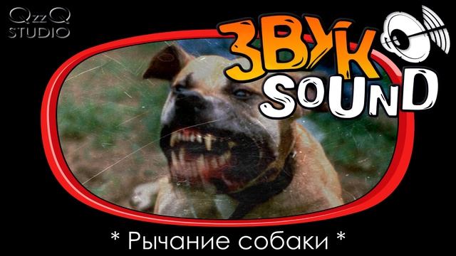 Рычание собаки ЗВУК / собака рычит, злая собака | Dog growling, dog growls, dog roar, angry dog смотреть онлайн