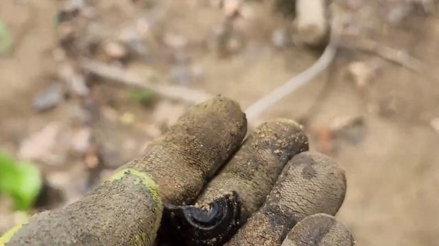 Metal Detecting with Teknetics T2 and Bounty Hunter Tracker IV | Surf and Turf смотреть онлайн