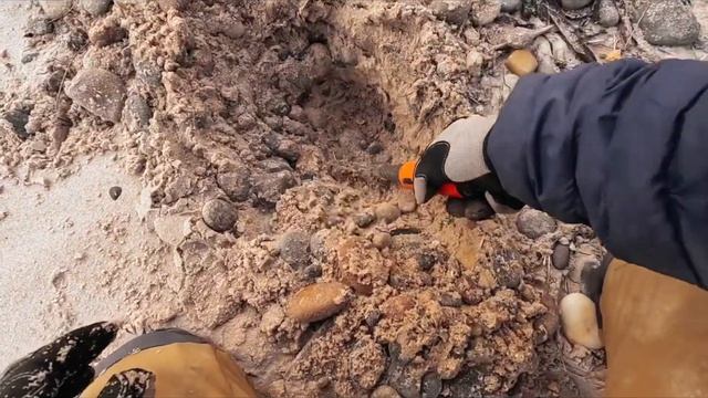 Minelab X-Terra Pro on the beach, is it any good? смотреть онлайн