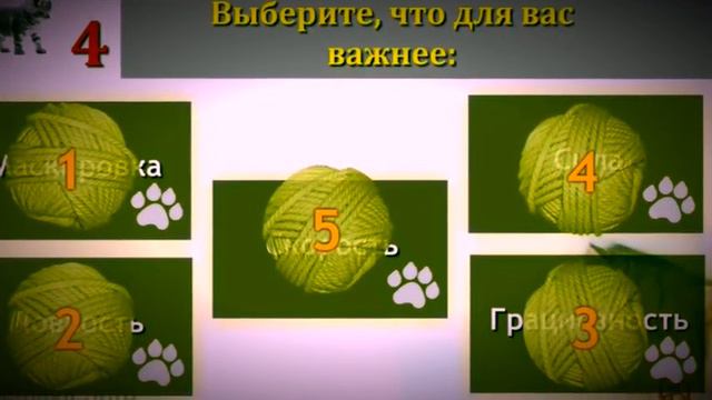 Тест.Кто Ты Из Животных? смотреть онлайн