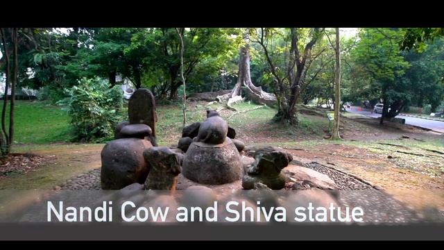15 Things to See at Bogor Botanical Gardens Indonesia смотреть онлайн
