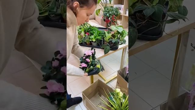 Распаковка новых цветочков к Дню Матери? в Бюро смотреть онлайн