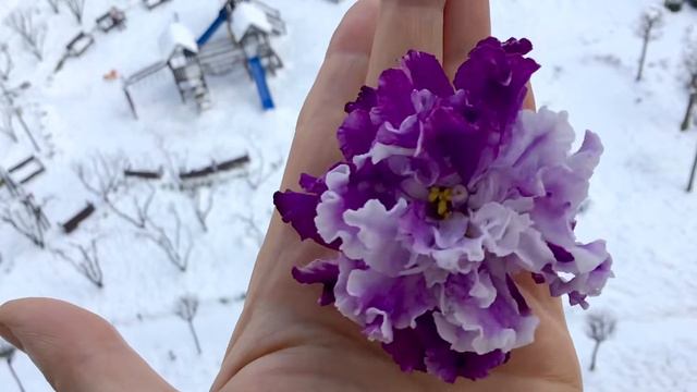 ЛЕ-Пломбир с Черникой/LE-Plombir S Chernikoy, standart menekşe смотреть онлайн