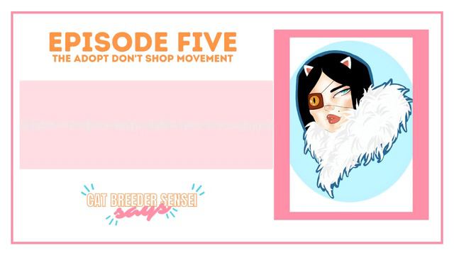 Cat Breeder Sensei Says Podcast | Episode 5 | The Adopt Don't Shop Movement смотреть онлайн