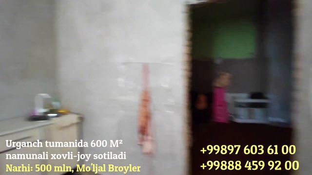 600 M² namunali xovli-joy sotiladi / Broyler Urganch смотреть онлайн
