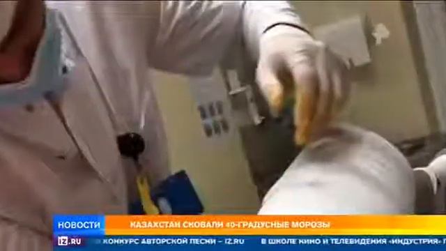 В Казахстане -60 животные не может ходить на место замерзает смотреть онлайн