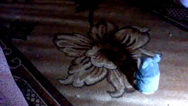 говорящий хомяк и щенок смотреть онлайн