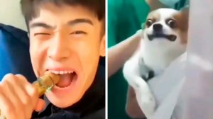 Фактория - Популярные видео (12 часть)