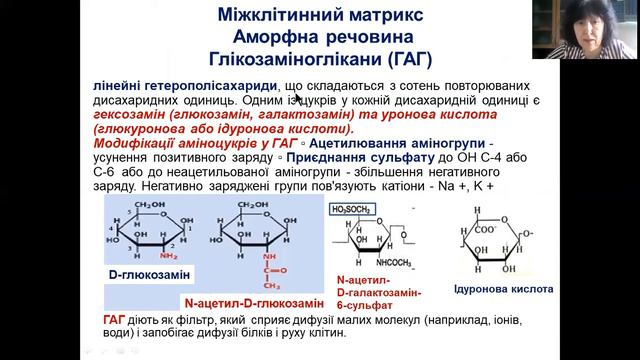 БХ Лекція 9 Біохімія сполучної тканини Укр смотреть онлайн