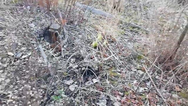 НАШ ДЕНЬ//ПЫШНЫЕ ОЛАДУШКИ//ДЕТИ КАК ДИКИЕ//ПОЕХАЛИ НА ДАЧУ - ПОДЫШАТЬ и ПОРАБОТАТЬ//БУДНИ МАМЫ//ВЛО смотреть онлайн