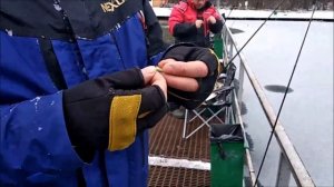 Леска плетёная(шнур), монолеска или нанофил? Плюсы и минусы при ловле форели на спиннинг в мороз.