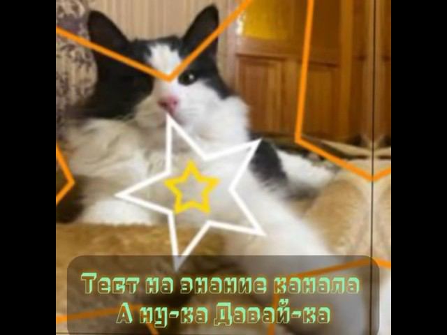 Тест на знание канала А ну- ка давай-ка @anykadavaika смотреть онлайн