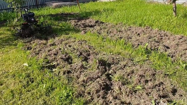 Пока по другому не получается? Сажаем новую рассаду смотреть онлайн