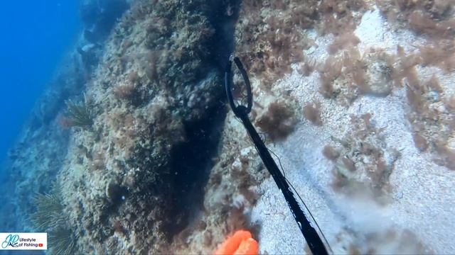 mad Hunt for fish under cave two fish killer so invincible 1 ?️ quint ? dead смотреть онлайн