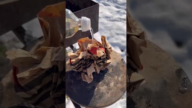 Грибная энергия