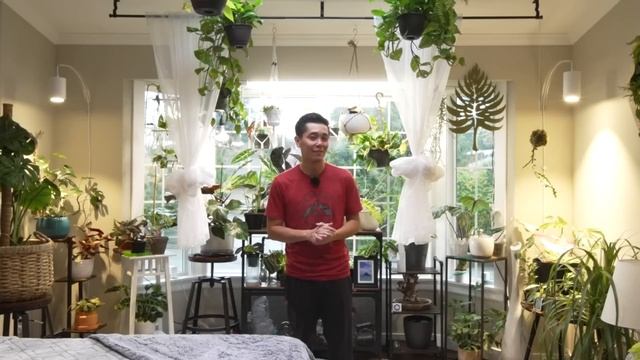 THESE Are The Best Grow Lights for Indoor Plants Made in America! смотреть онлайн